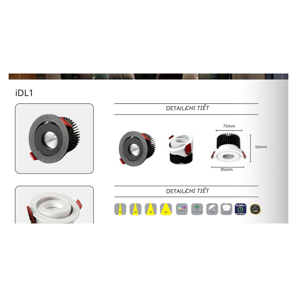 CTL-IDL1