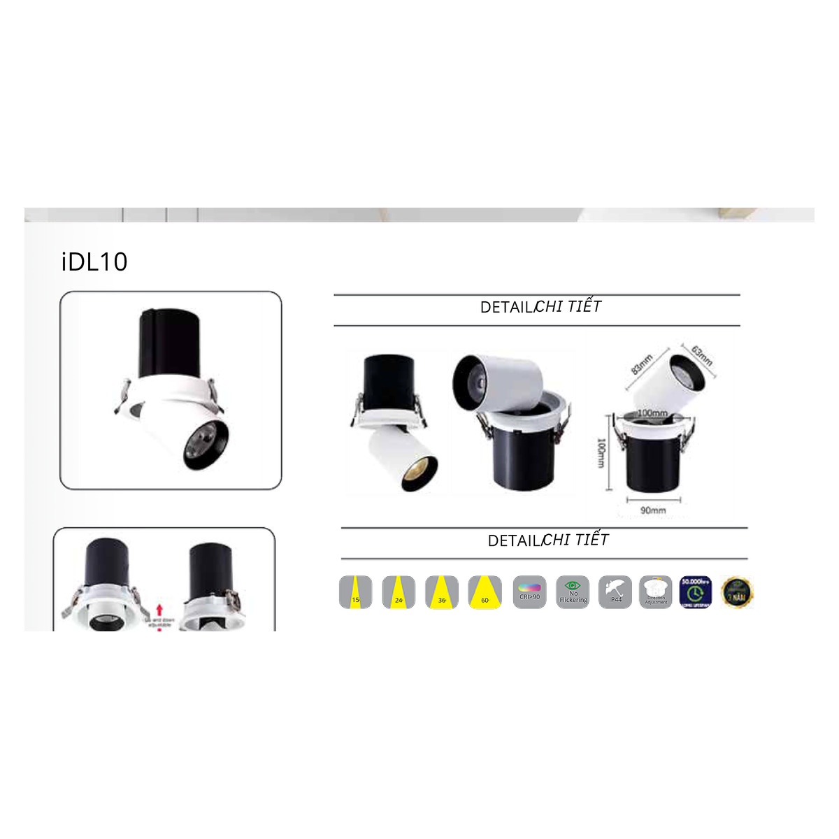 CTL-IDL10