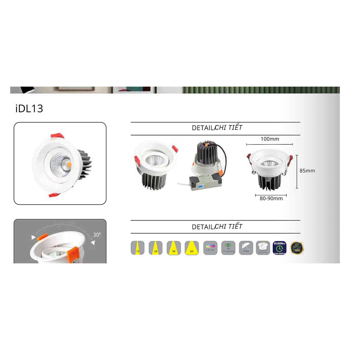 CTL-IDL13