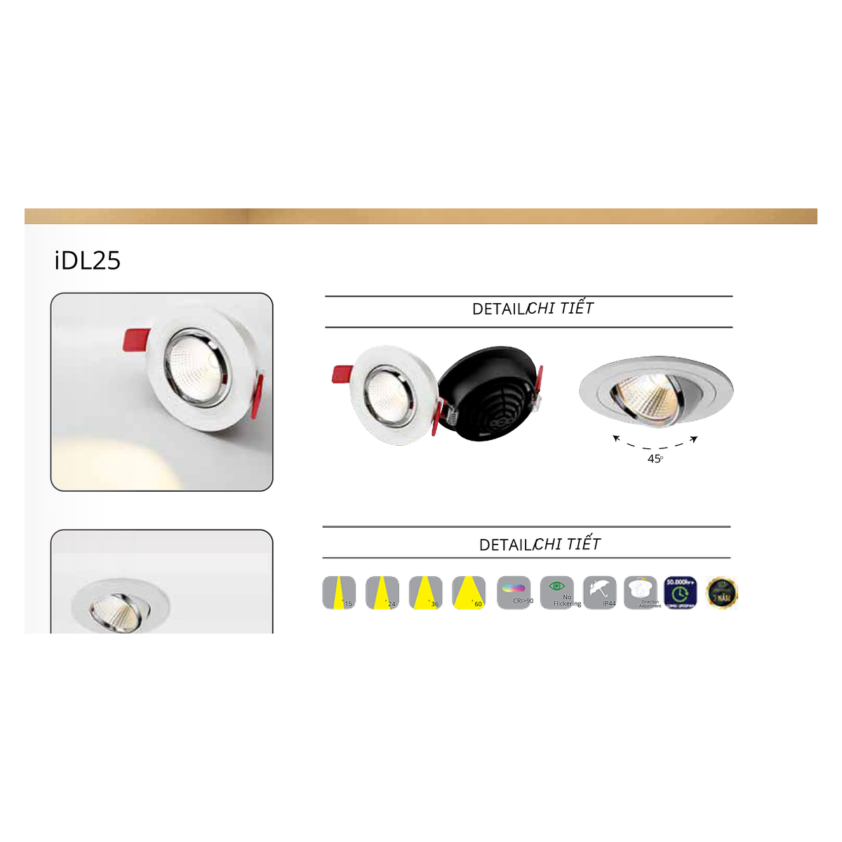 CTL-IDL25