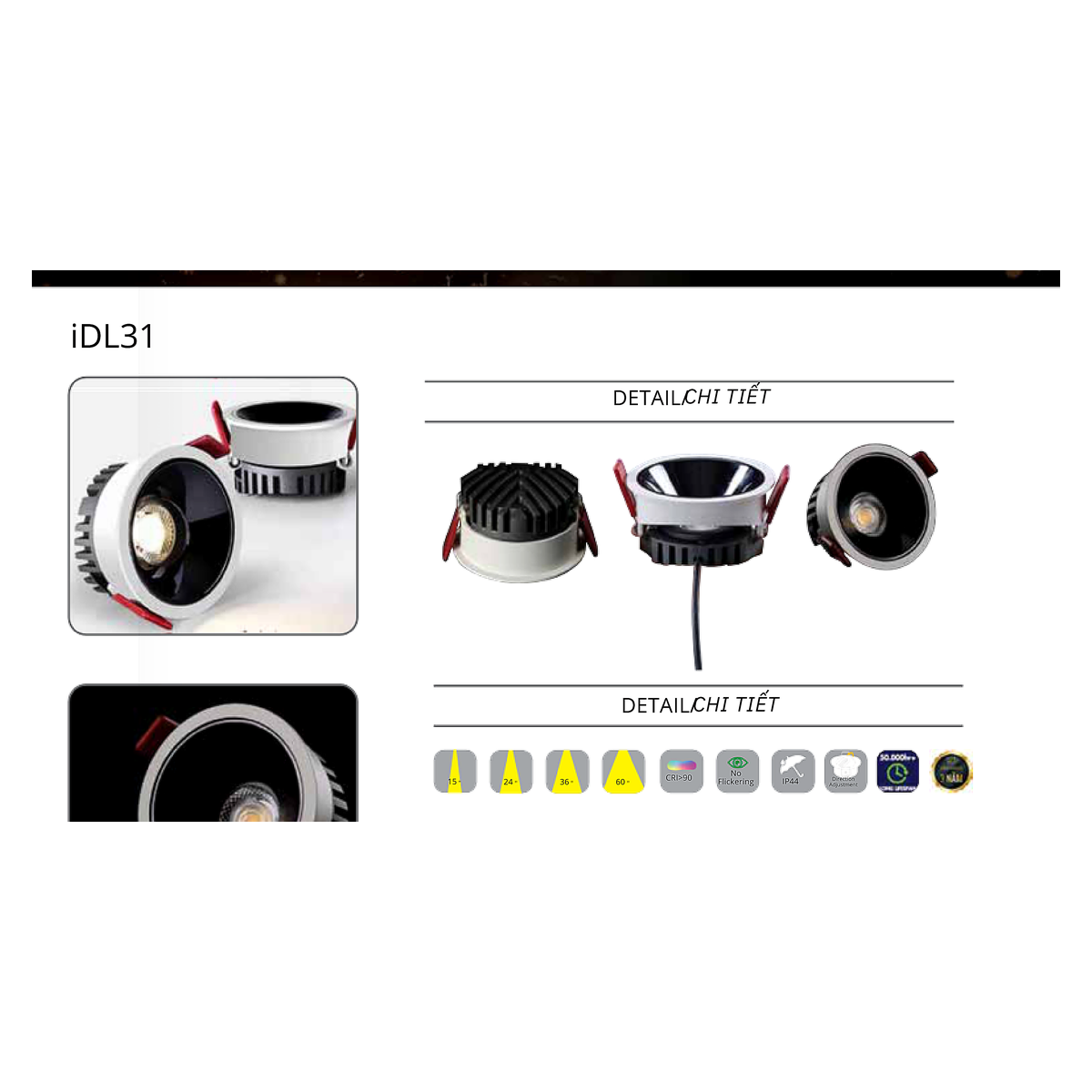CTL-IDL31