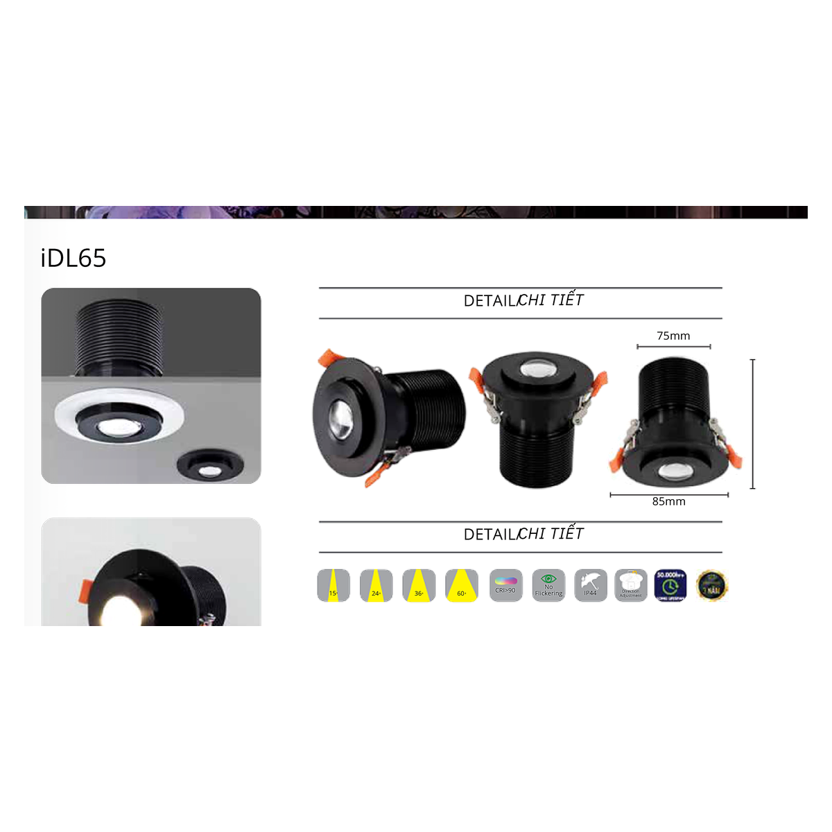 CTL-IDL65